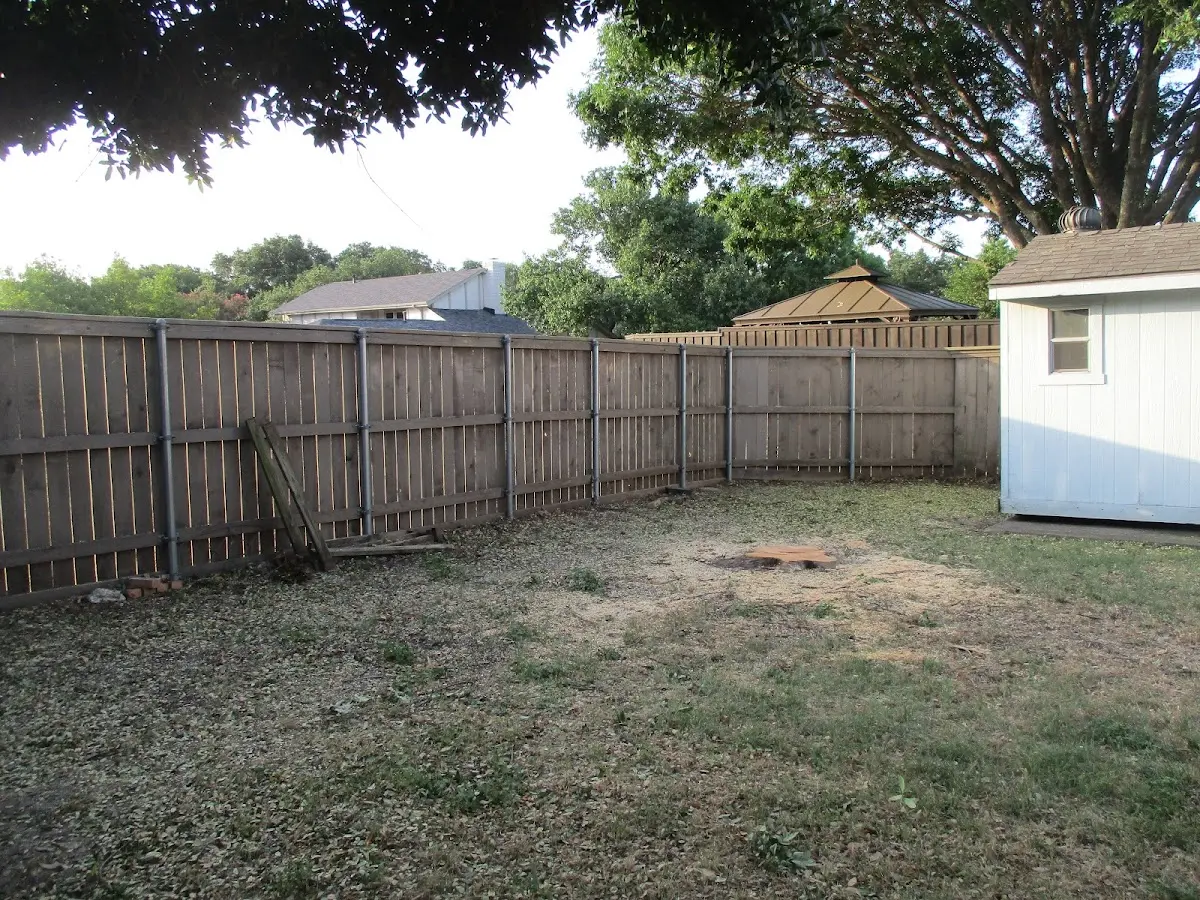 Cleared yard after professional tree removal in Haydenville